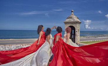 website (196 of 211)